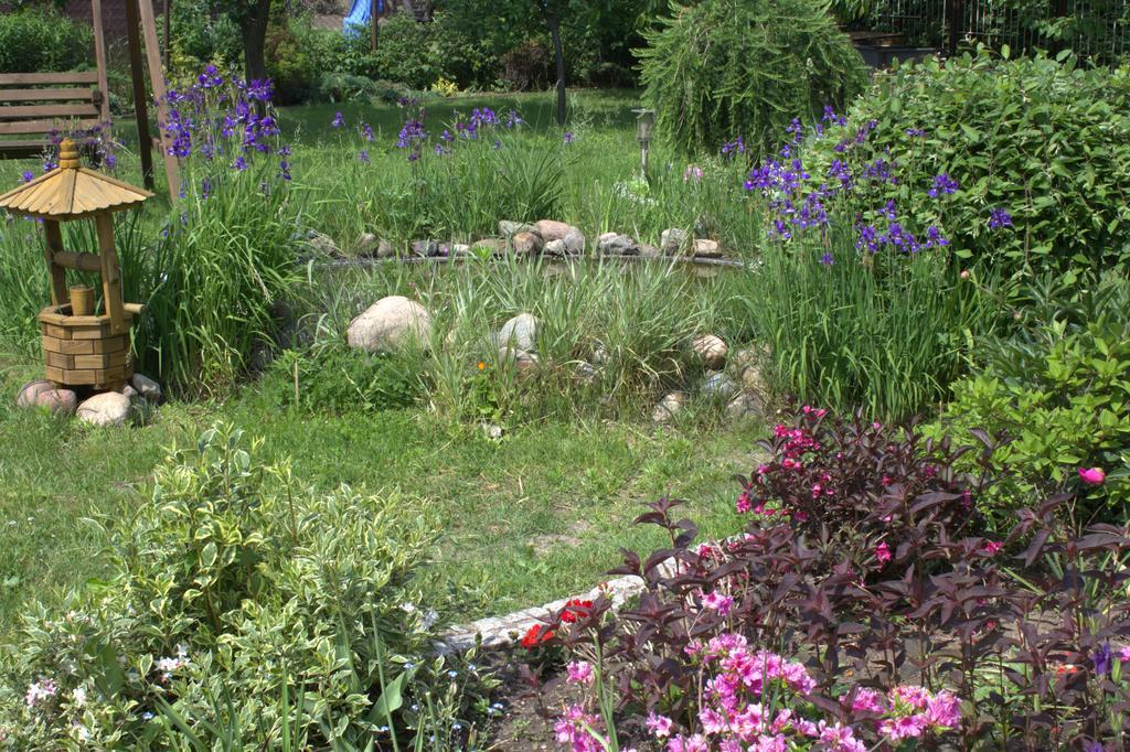 Bed & Breakfast Pan Tadeusz