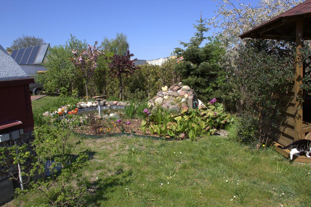 Bed & Breakfast Pan Tadeusz 3*