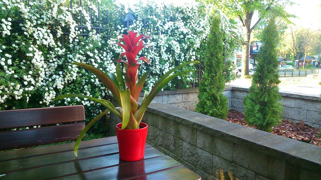 Bed & Breakfast Lido