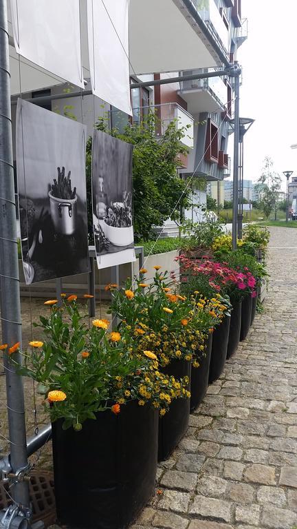 Apartament Hanza *