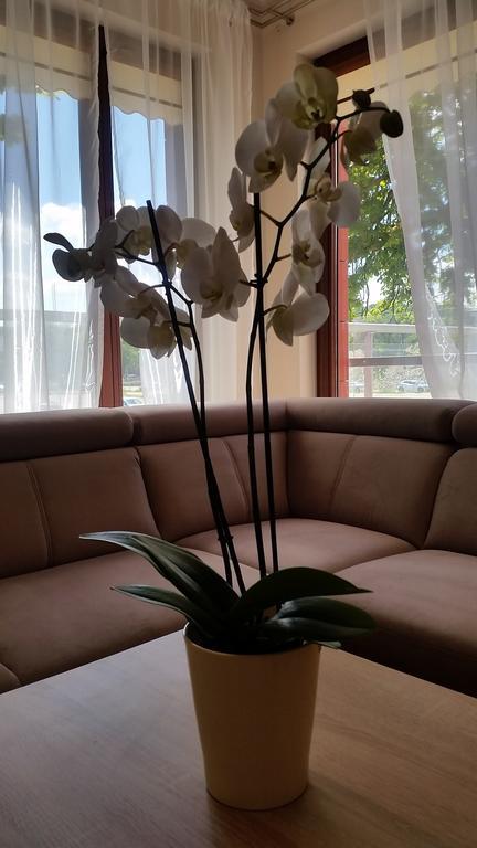 Apartament Hanza