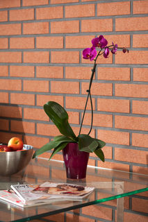 Apartinfo Waterlane Apartment
