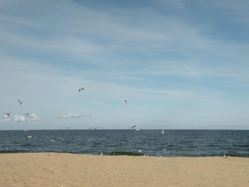 Apartament Nina Gdańsk