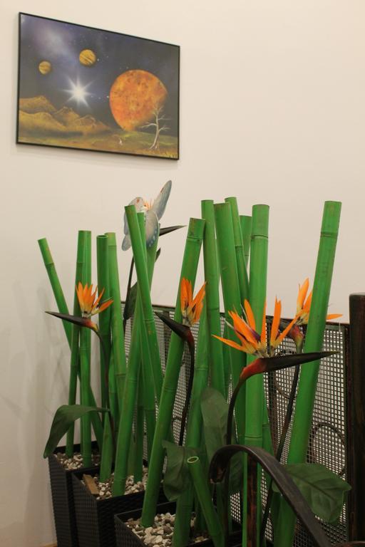 Bed & Breakfast Lido Gdansk