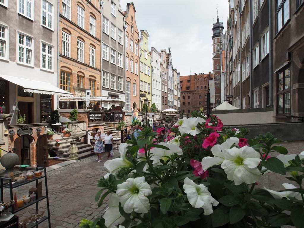 Grand-tourist Amber Rose * Gdansk