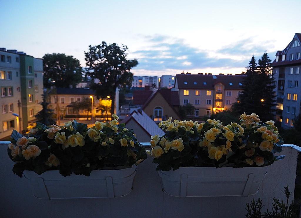 Apartment Msc Brzezno Hygge