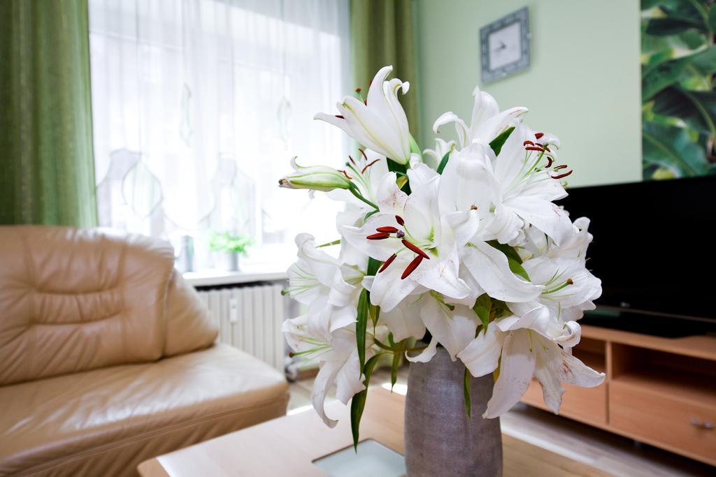 Apartment Elite Ogarna Deluxe Old Town