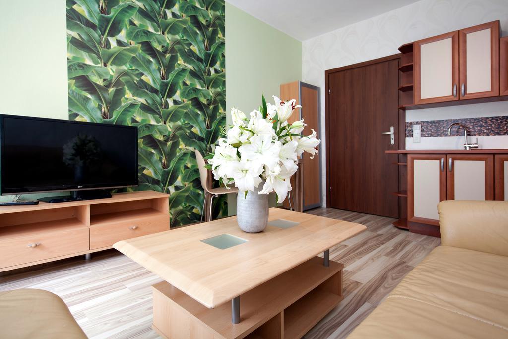 Apartment Elite Ogarna Deluxe Old Town
