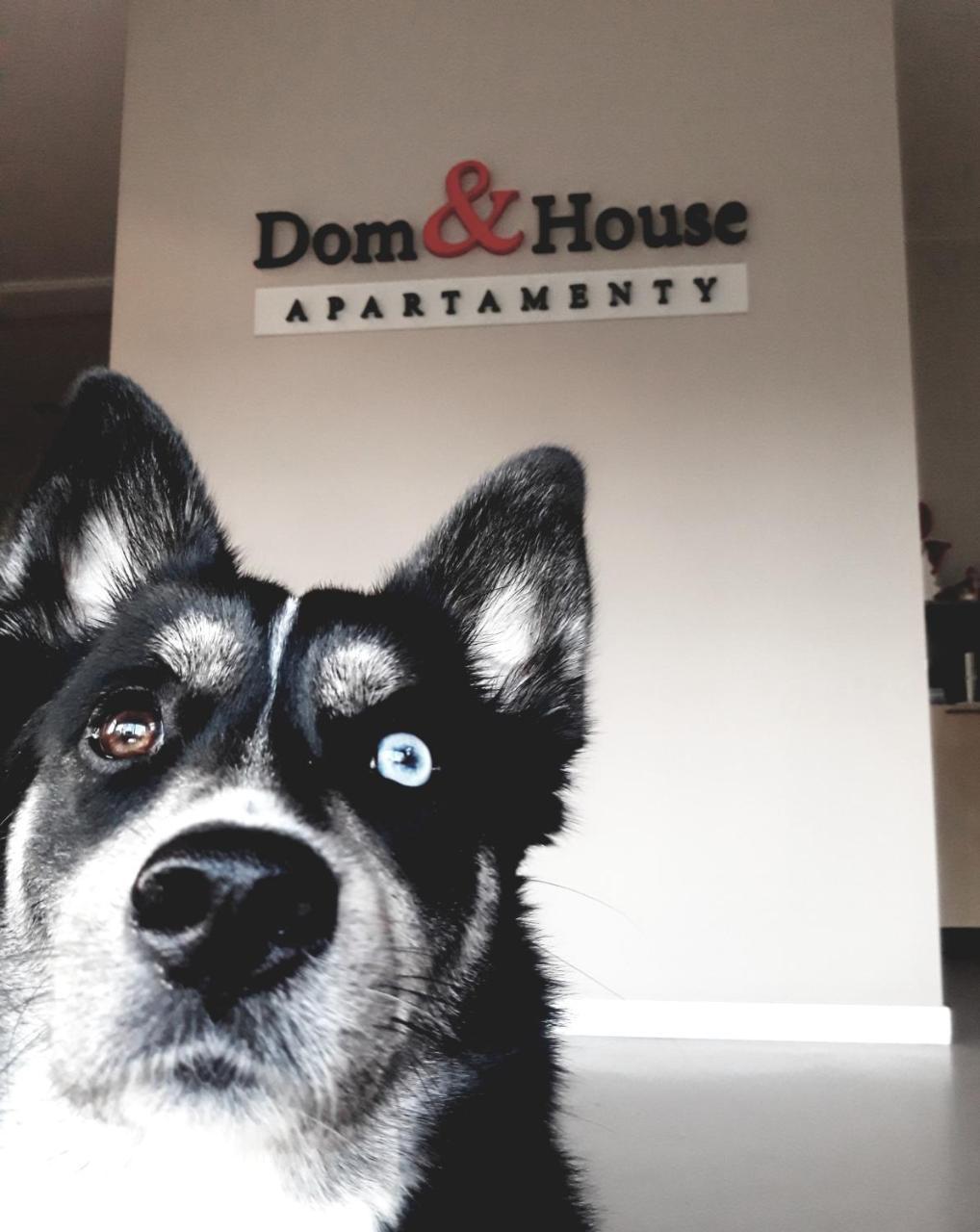 Dom & House - Waterlane Island Apartment