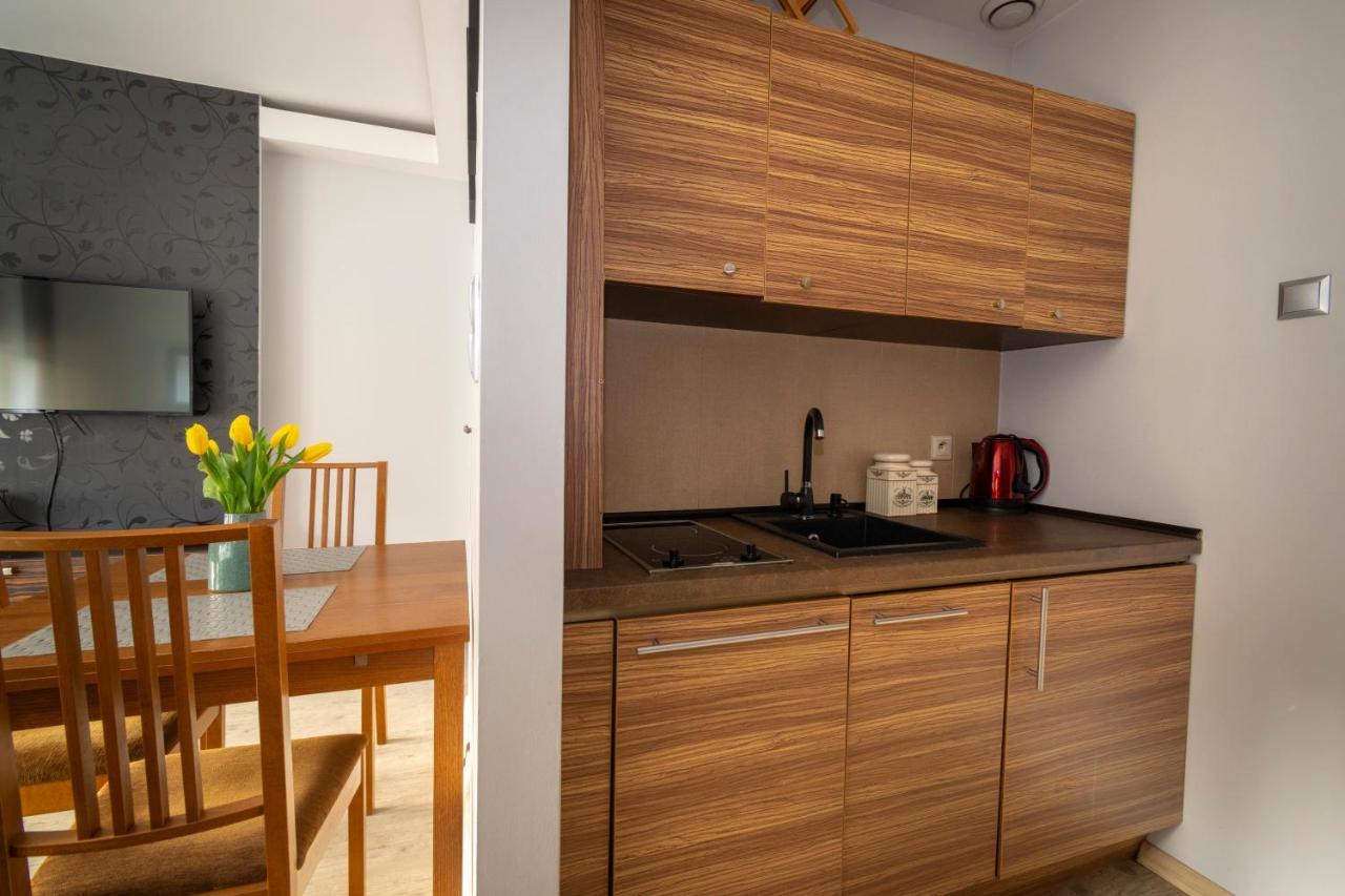 Apartament Szeroka Apartment *