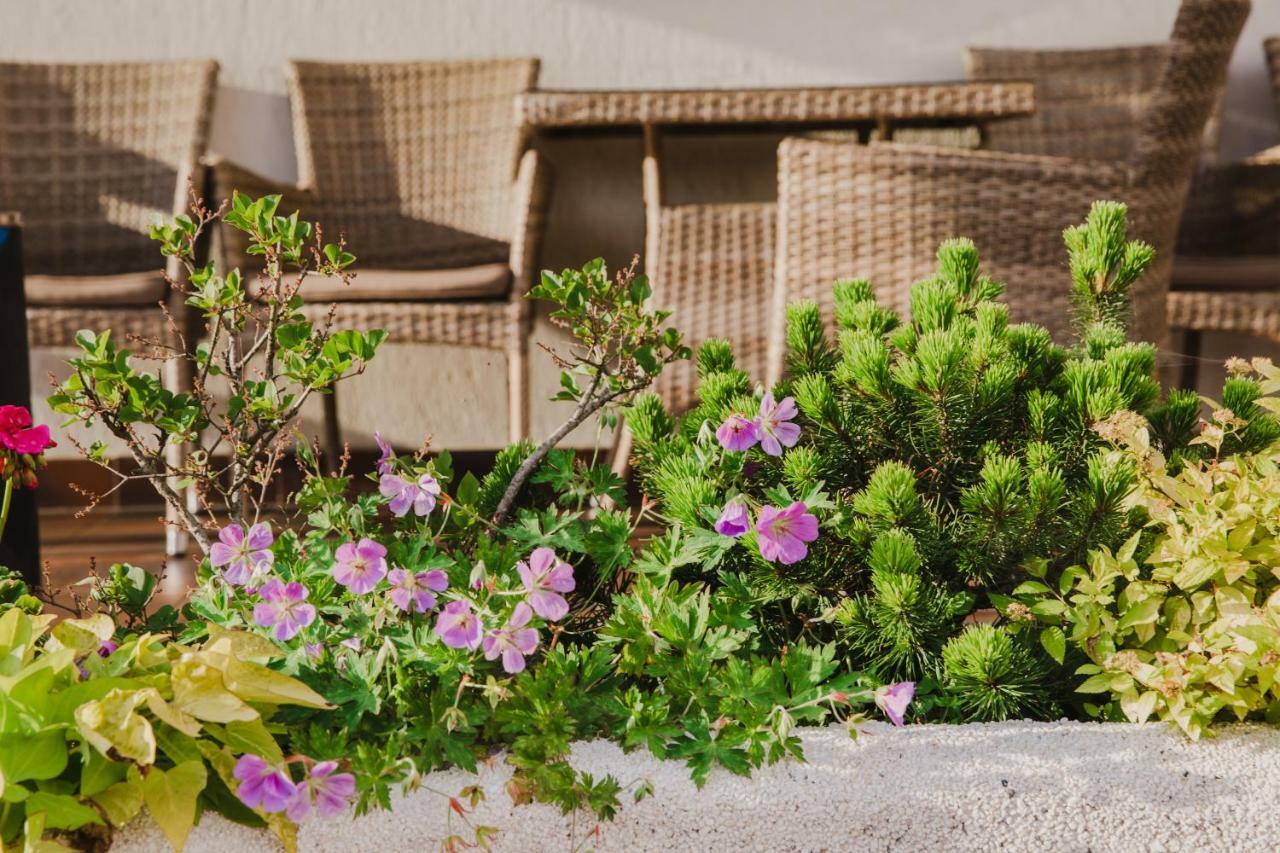 nhà trọ Dworek Pani Walewska 3*