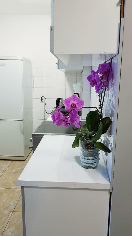 City Stogi Apartament Apartment