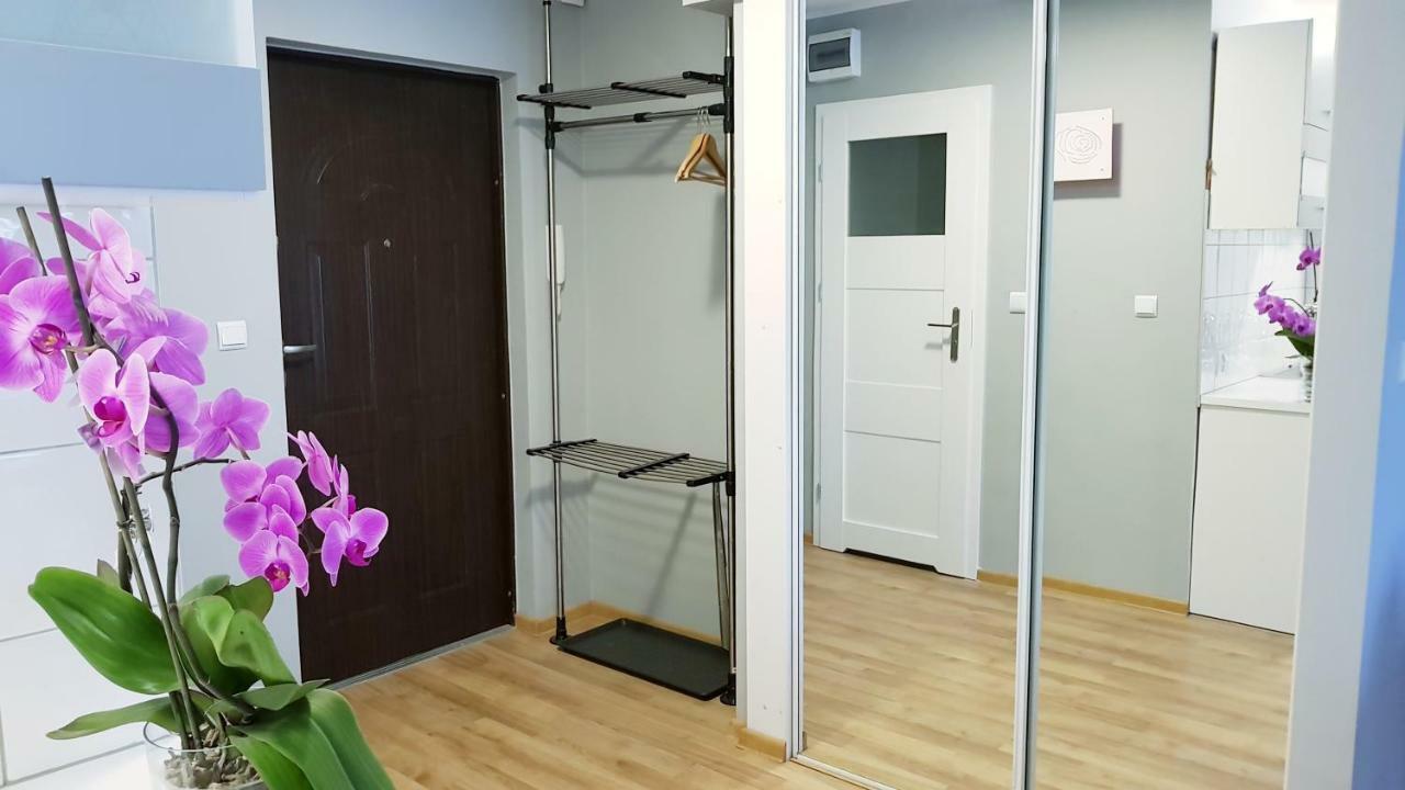 City Stogi Apartament