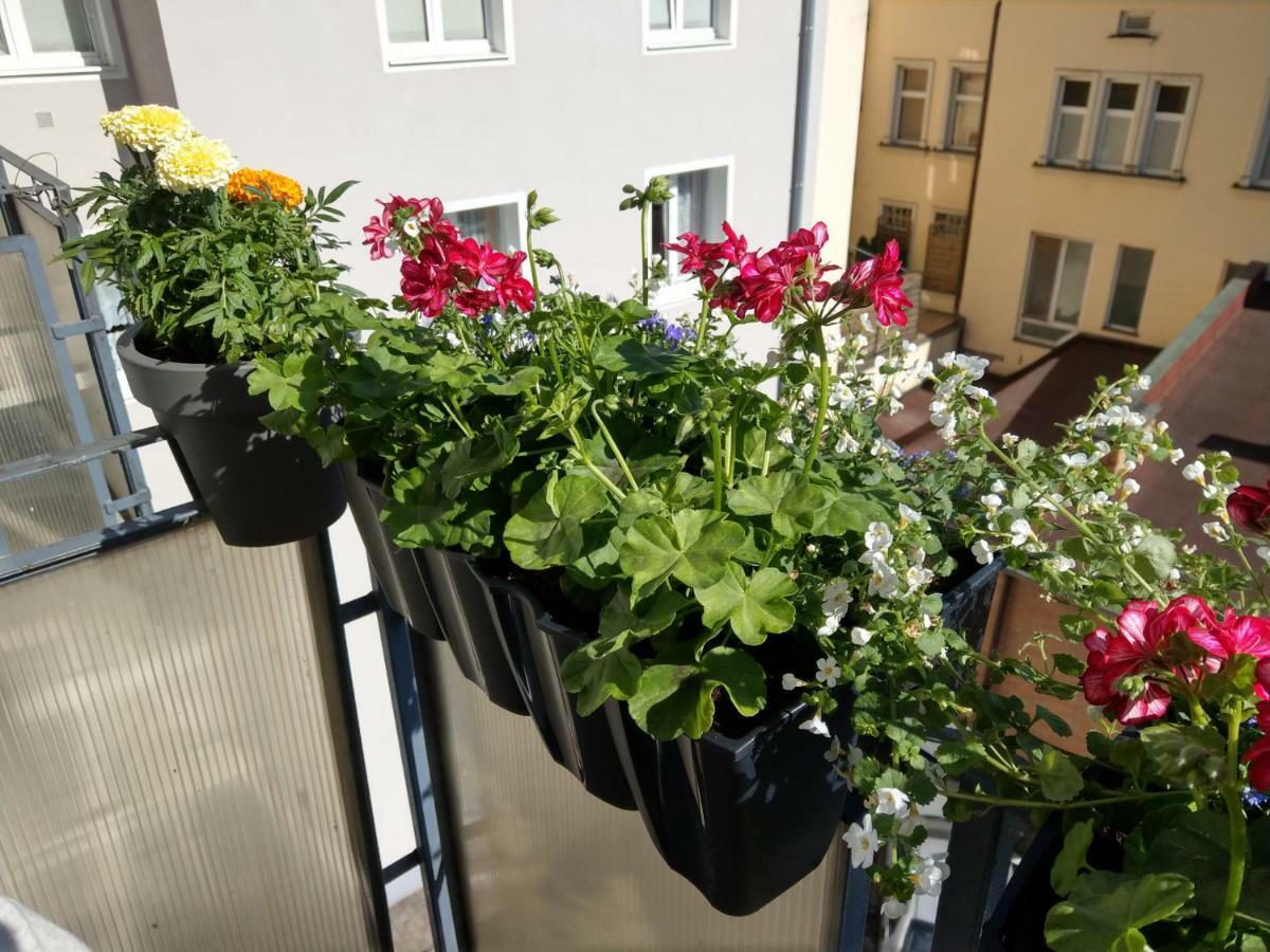 Bielski Apartment Gdansk