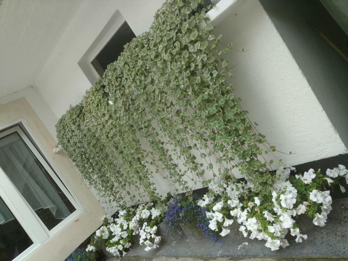White Apartament