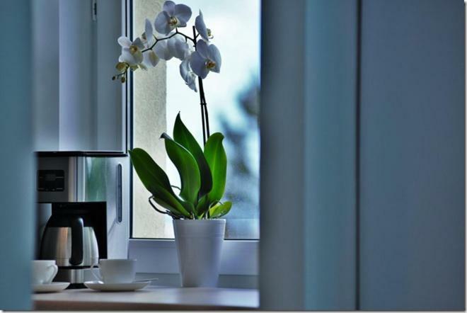 Cozy Base Apartment Gdansk