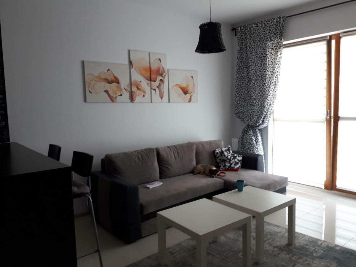 New Flat Near Sea Apartment