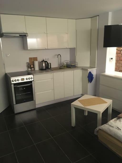 Stogi Plaza 1 Apartment
