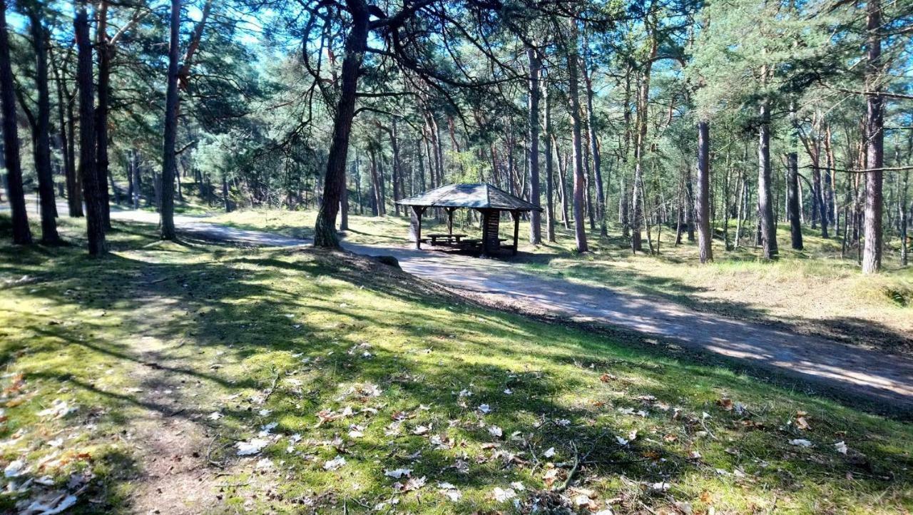 Homestay Pokoje Pod Klonami Gdansk
