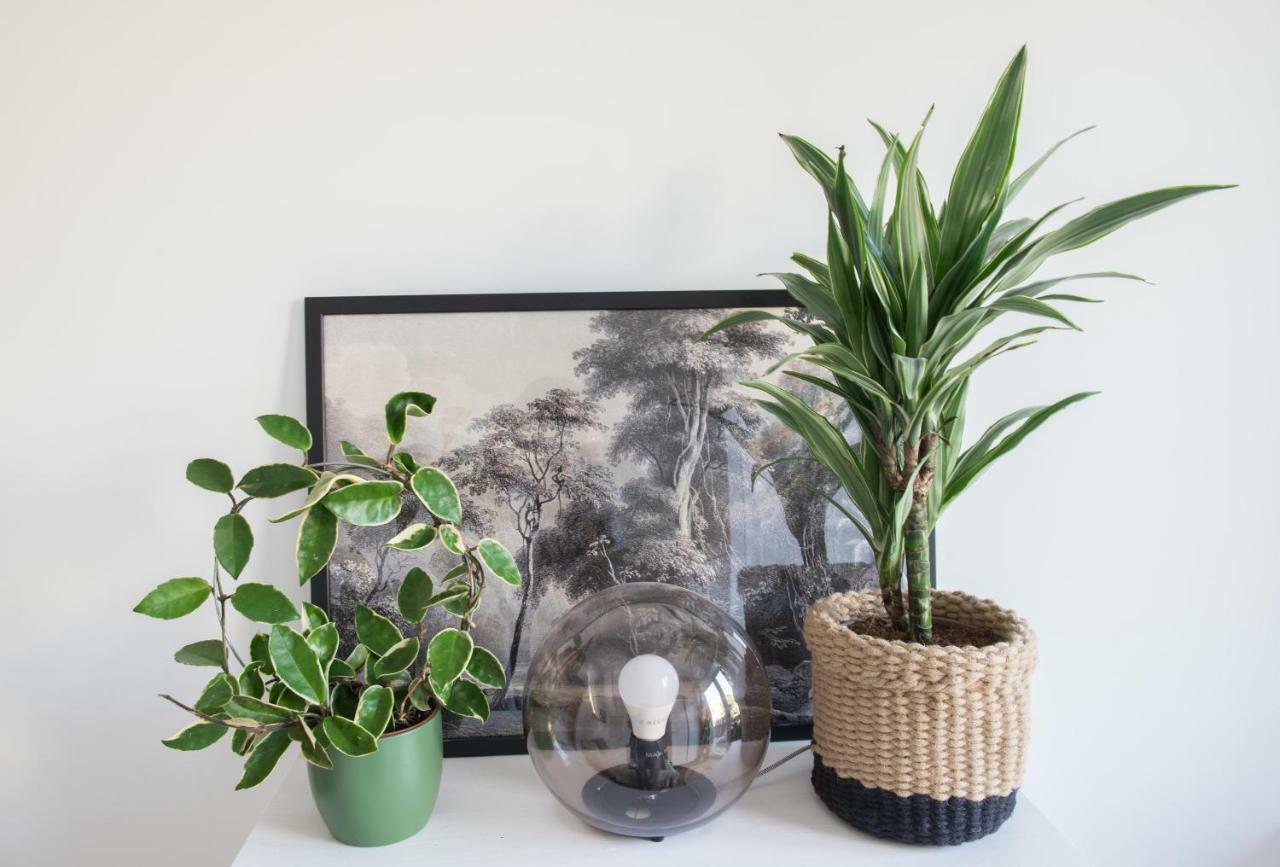 Apartment Family With Garden