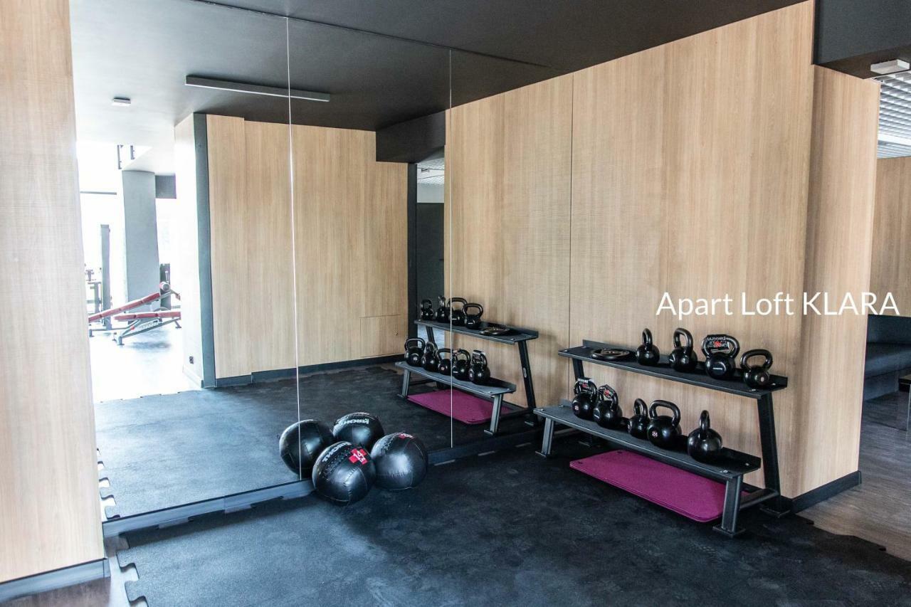Apart Loft Klara