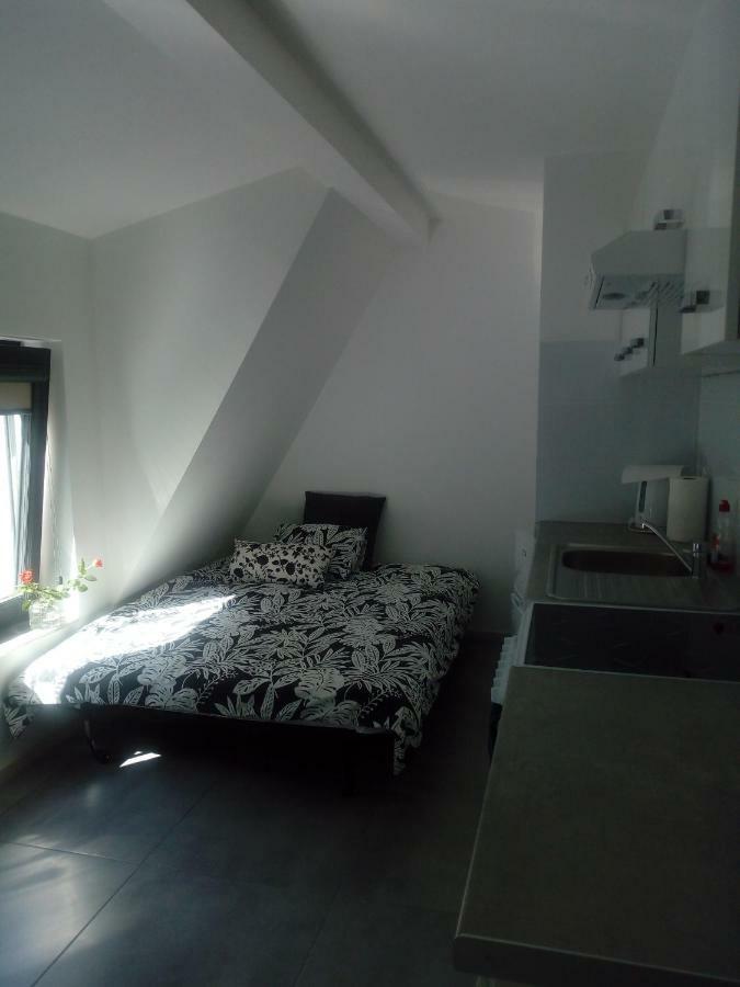 Homestay Centrum