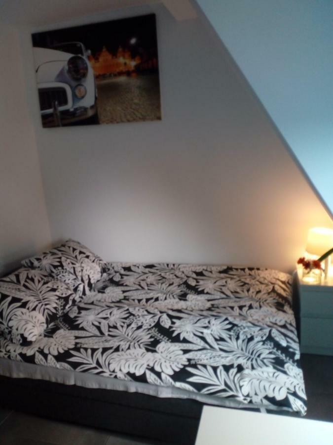 Homestay Centrum