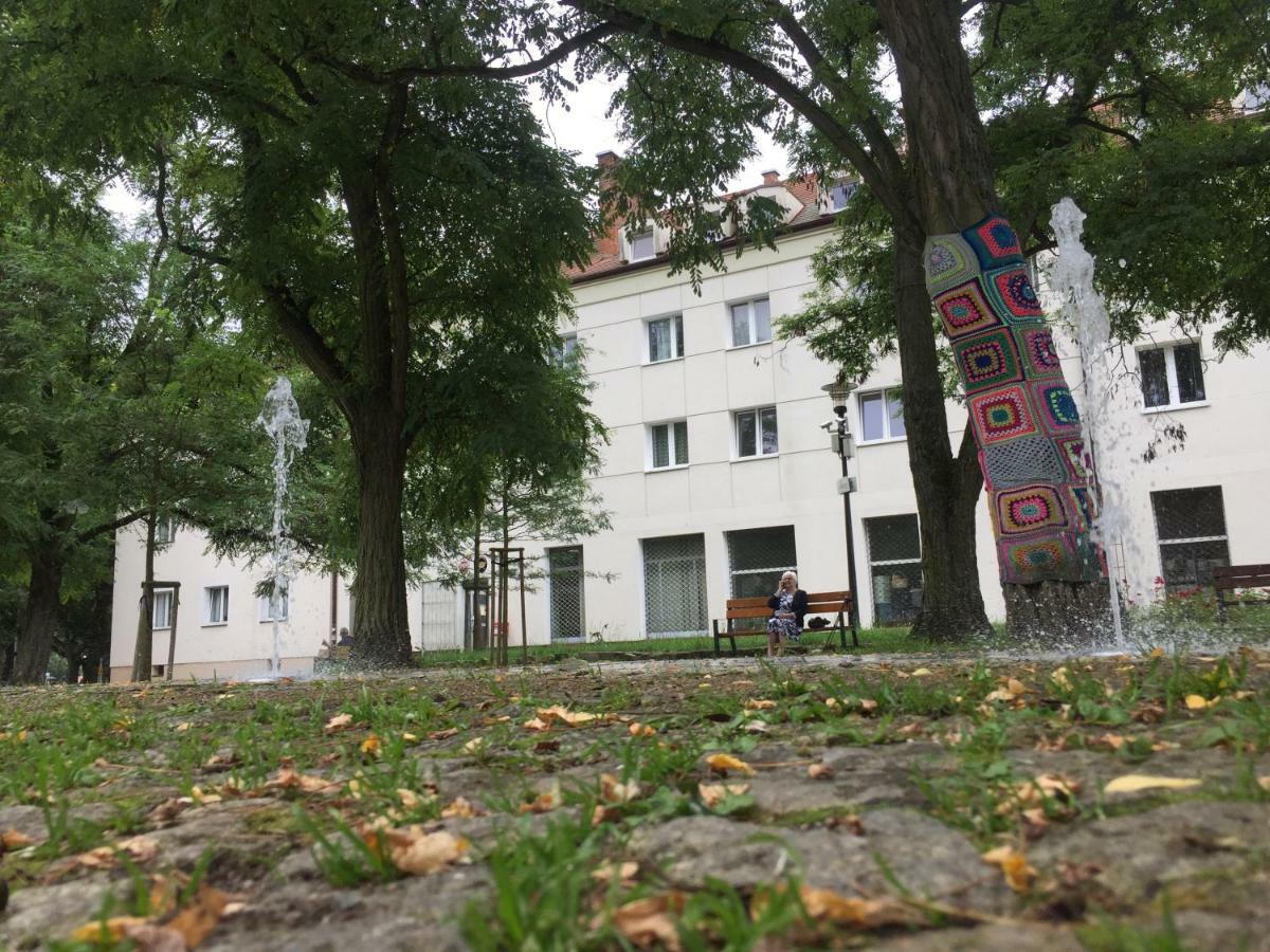 Apartament Natura Huoneisto *