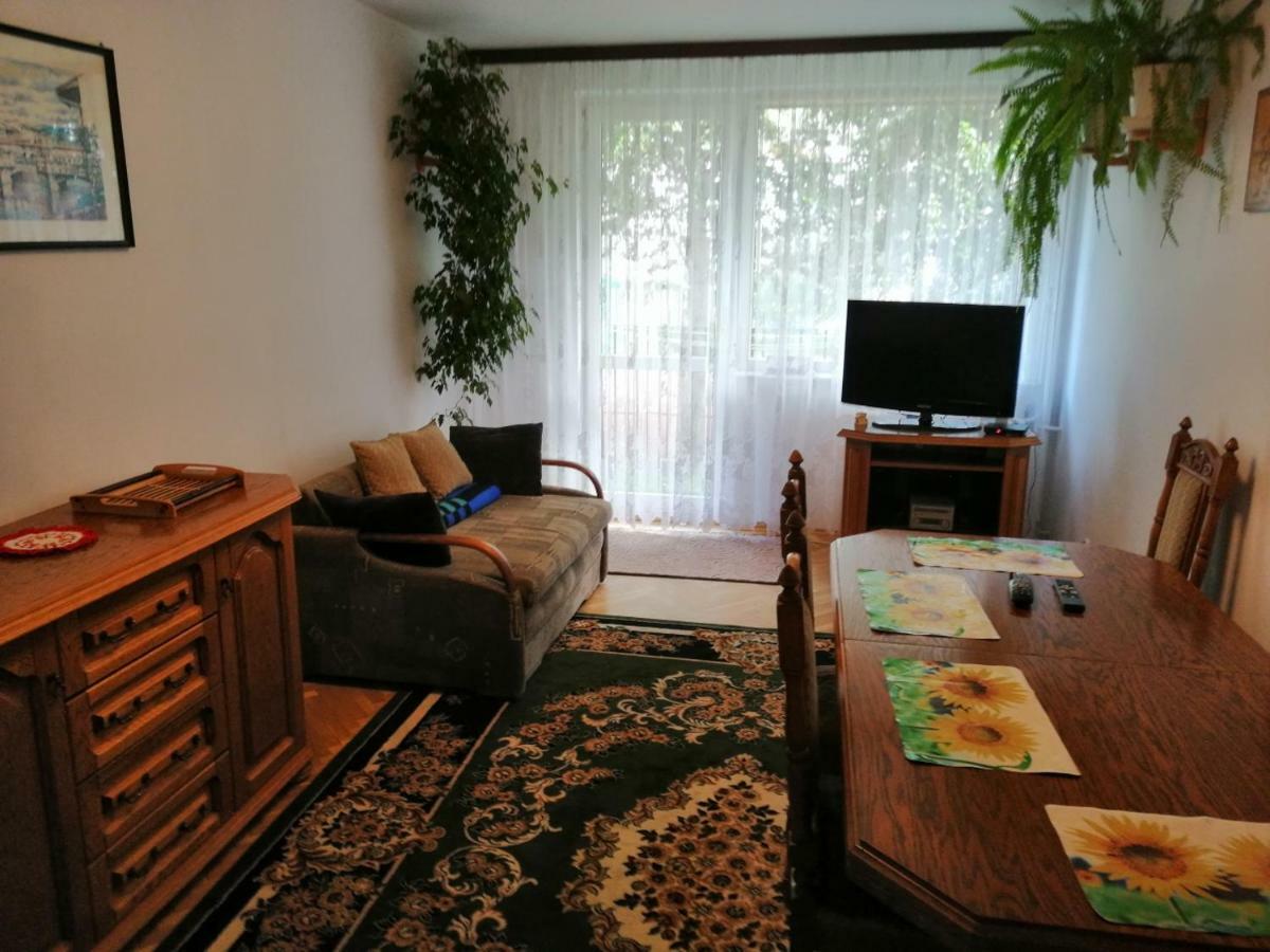 Przytulne Mieszkanie Apartment