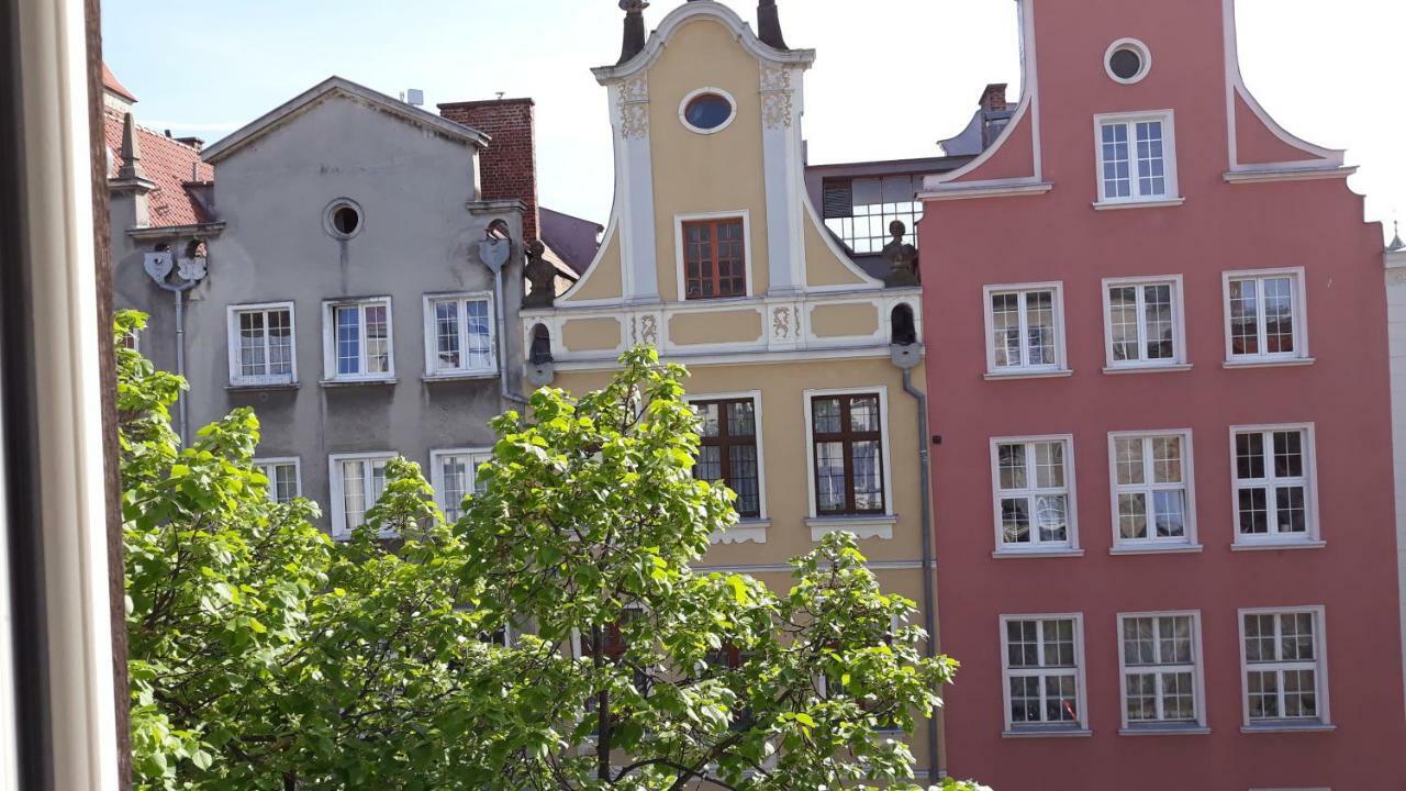 Apartament Starowka *