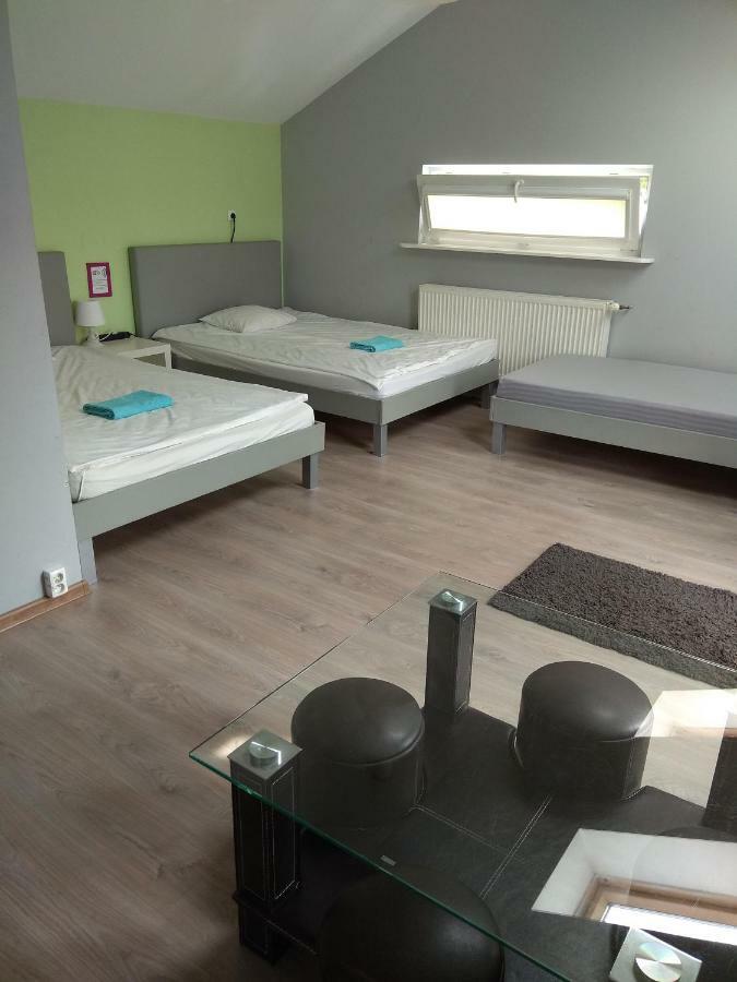Hostel Olive