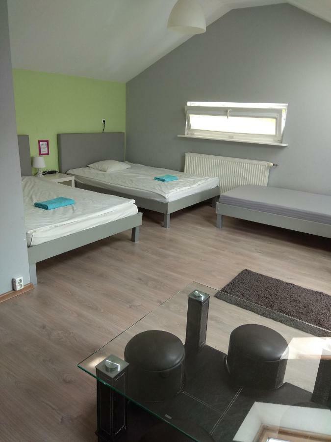 Olive Hostel *