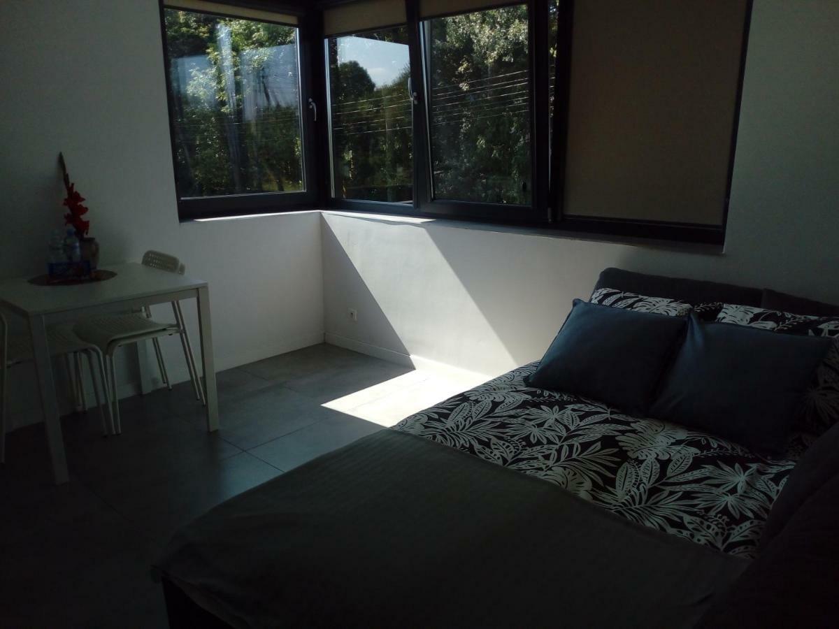 Homestay Centrum