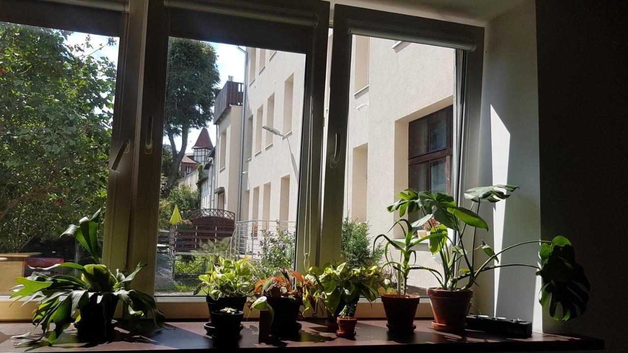 Spoko Gdańsk