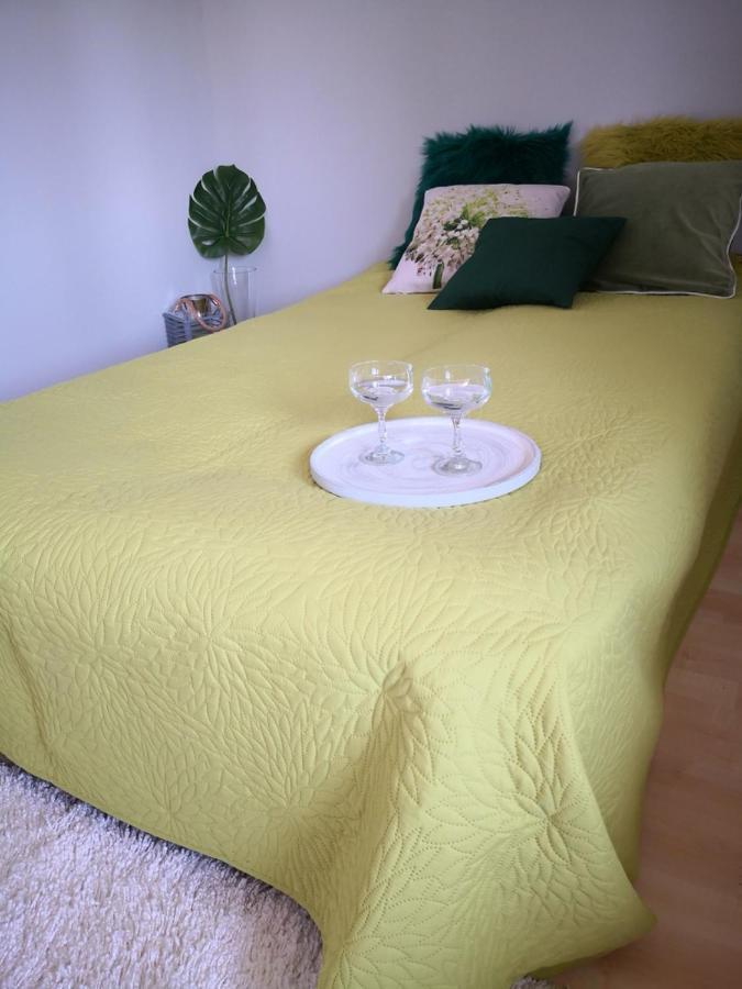 Nad Stawem Mlynskim Homestay *