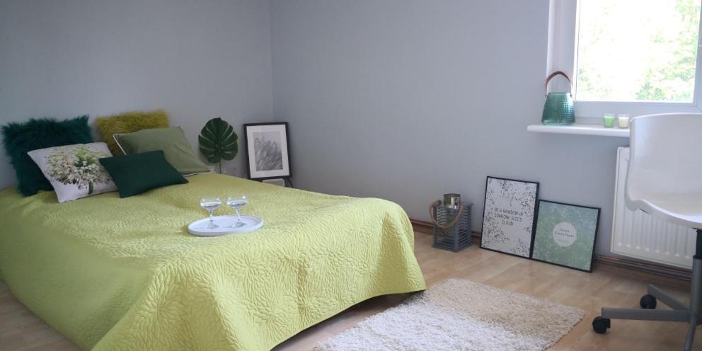 Nad Stawem Mlynskim Homestay