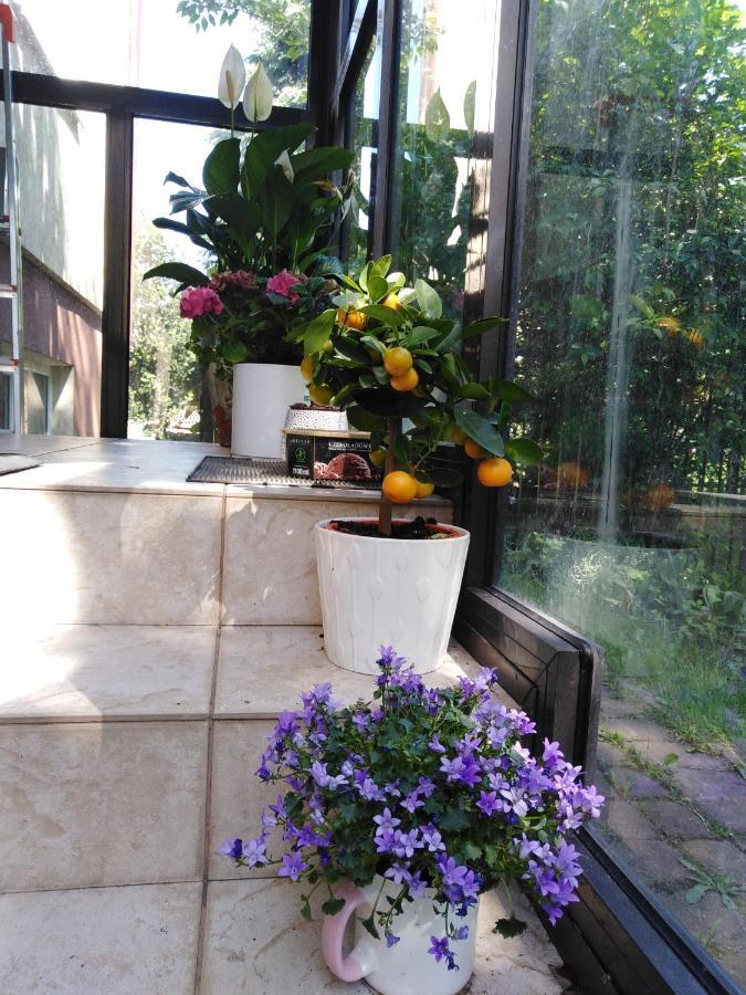 Rodzinne Hanna Homestay
