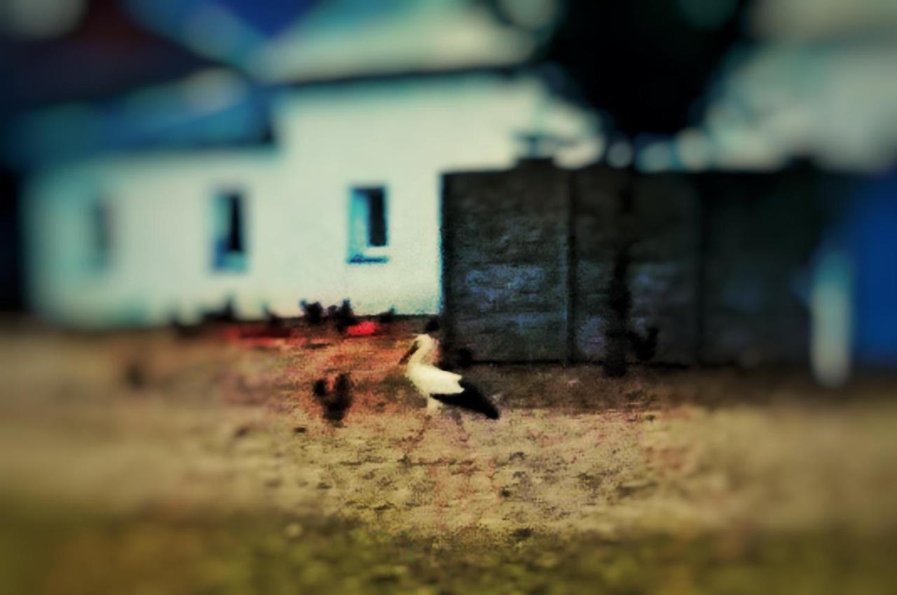 Homestay Home&slow Life Gdansk