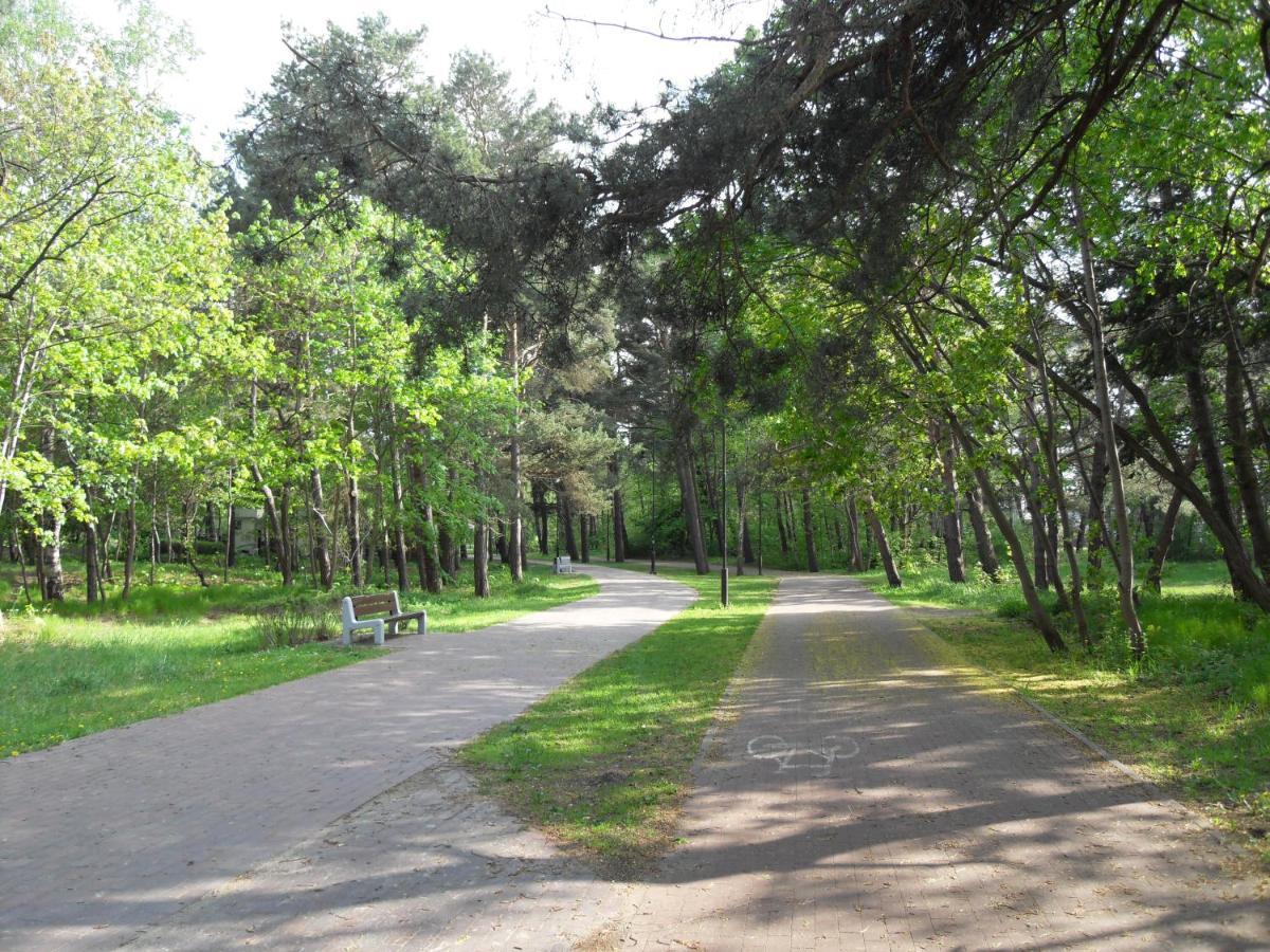 Bursztyn, Perla Nad Morzem *