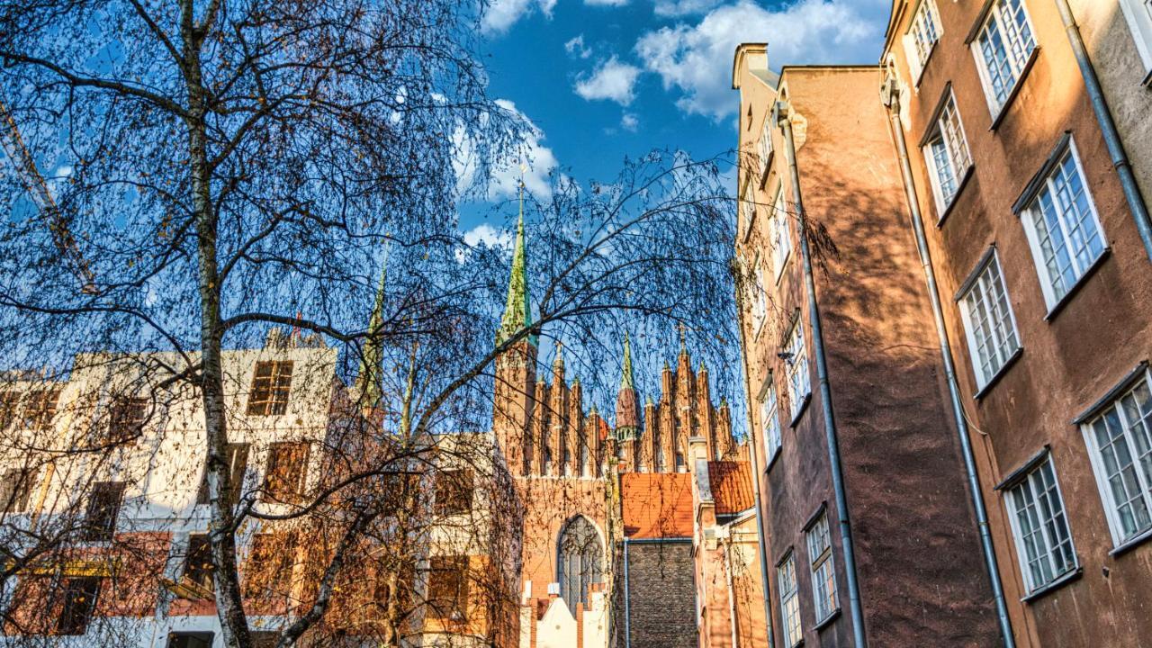 Maya's Flats & Resorts - Old Town Mariacka *