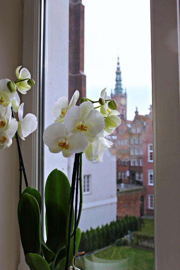 Apartament Art Old Town Căn hộ
