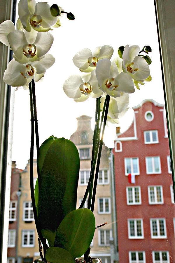 Apartament Art Old Town Gdansk