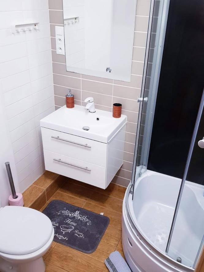 Romantic Old City Apartment Gdansk