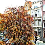 Apartament Art Old Town