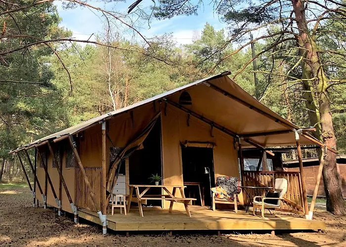 Camp Bursztynowy Las