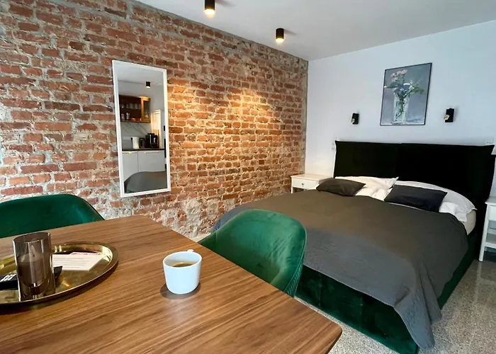 Apartment In The Gate Of Chlebnicka - View Of Motlawa