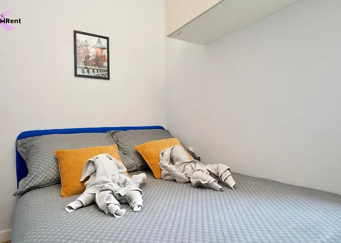 Mmrent Kitty Cat Room