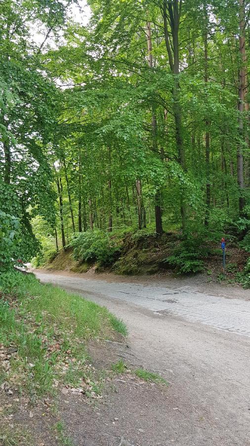 Gorzysta Vandrerhjem *