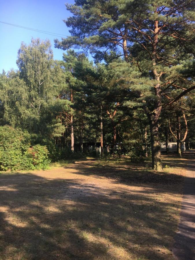 Camp Bursztynowy Campsite *