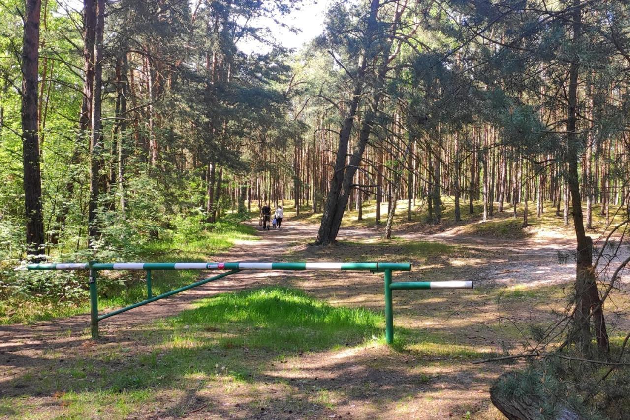 Camp Bursztynowy Campsite
